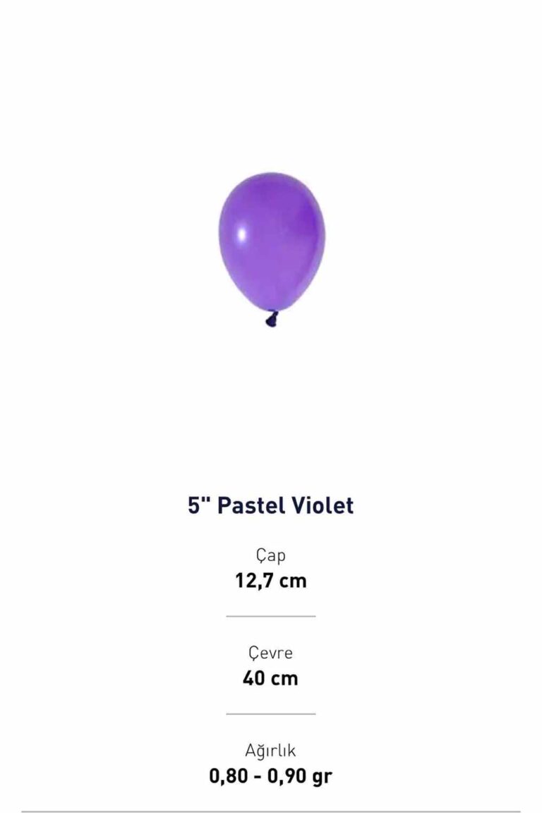 5” VİOLET PASTEL BALON EVİ 100'LÜ