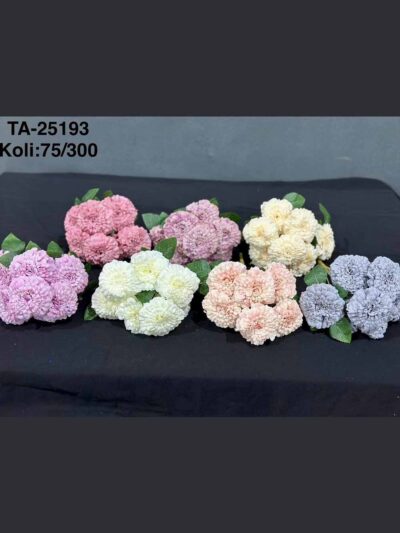 TA-25193 7'Lİ HANIMELİ 7 RENK
